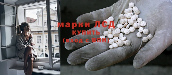 сатива Каменногорск
