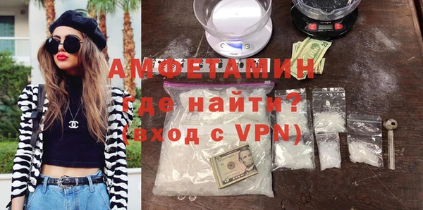 сатива Каменногорск