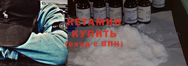 сатива Каменногорск