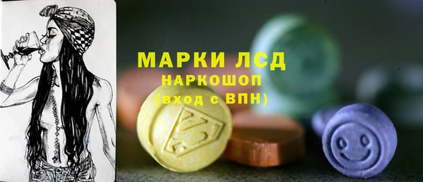 сатива Каменногорск