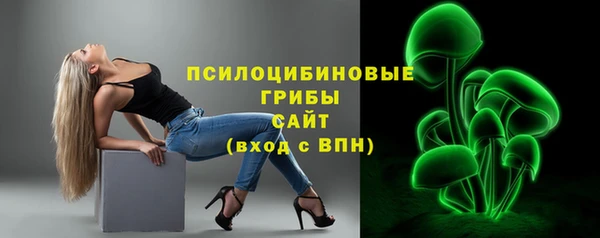 MESCALINE Каменка