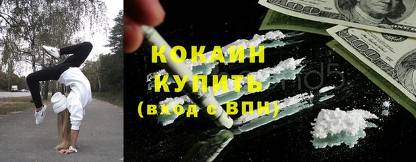 сатива Каменногорск