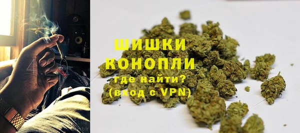 сатива Каменногорск