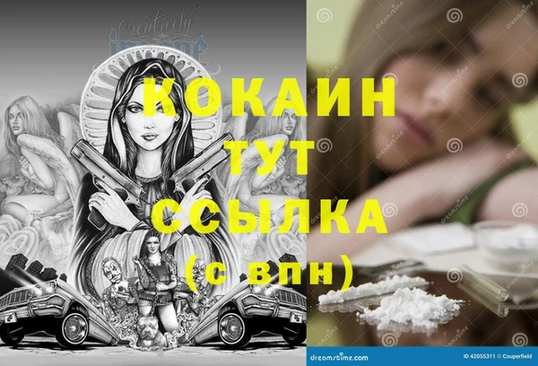 сатива Каменногорск