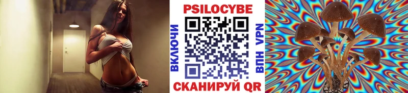 Купить где  Северодвинск  Псилоцибиновые грибы GOLDEN TEACHER 